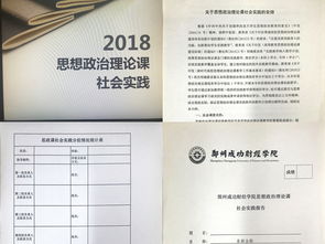 思政课教学实践报告(思政实践报告)