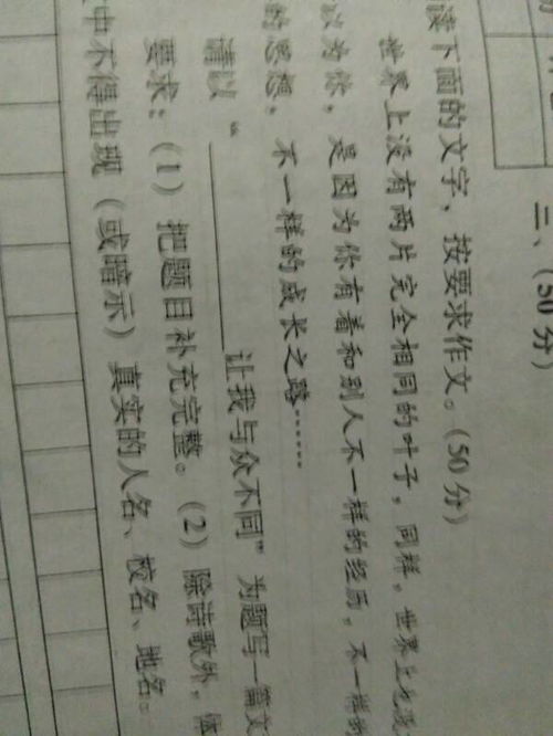 与众不同的快乐500字作文开头