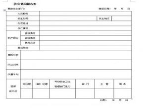 情况报告格式(情况报告格式)