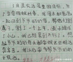 那次我笑了写一篇作文开头