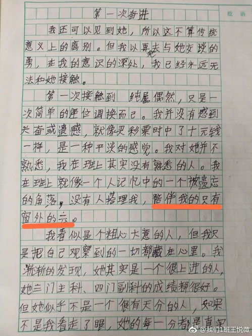 一生做好一件事的作文袁隆平,一生做好一件事的作文素材,一生做好一件事作文800