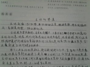 体验孤独的滋味作文开头