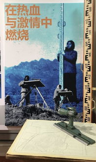 砥砺奋斗不负芳华作文,奋斗不负青春芳华作文800字,青春向阳不负芳华作文