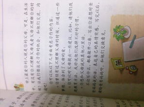春节亲情主题作文开头