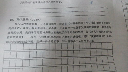 以拥有与寻找作文开头