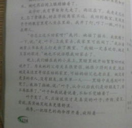 关于一些人间真亲的作文开头