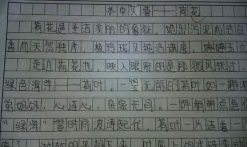 我思考溺水的原因开头作文