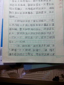 友情作文开头句摘抄大全