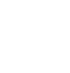 有创意q的作文开头