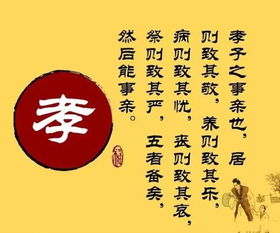 关于孝顺的议论文(关于孝顺的议论文)
