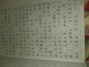 在学校最难忘的事作文600字作文开头