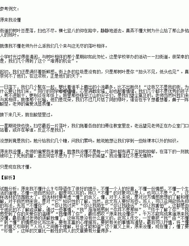 我终于读懂了爱800字作文开头