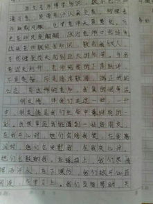 最懂我的一个人500字作文开头结尾