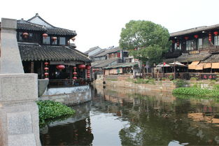 作文,开头,西塘,美丽
