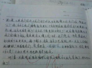 有趣的事600字作文开头
