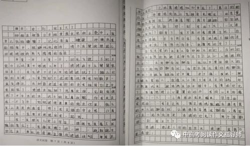 那一刻我长大了作文排比句开头