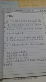 偶遇的作文开头句
