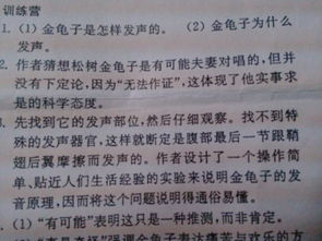 我不在懒惰作文开头