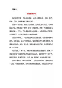 小学6级作文第4单元好开头