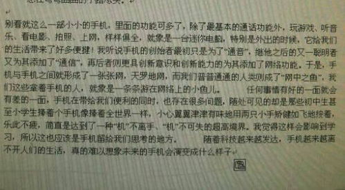 介绍周至的作文开头