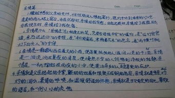 那个幸福的眼神作文开头