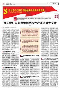 供给侧结构性改革作文开头