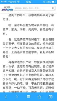 菜市场的作文开头