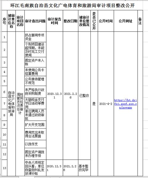 旅游局审计整改报告(单位审计整改报告)