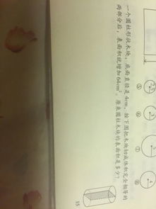 关于写难忘的第一次作文600字作文开头