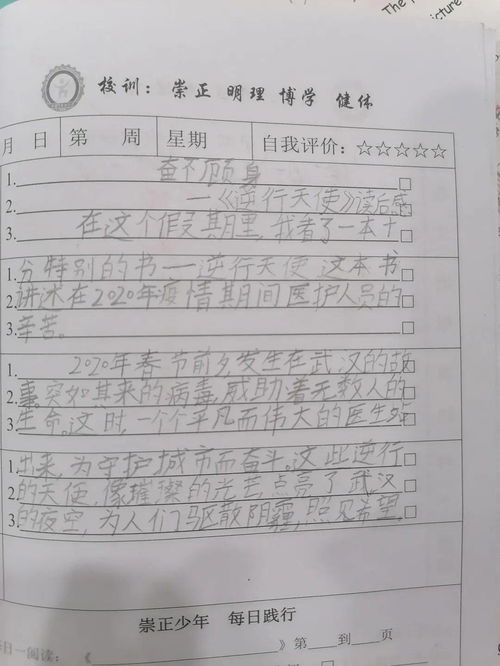 作文,开头,故事