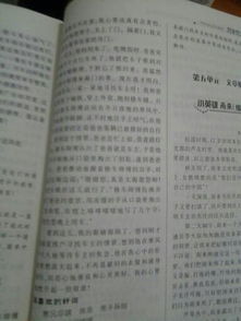 生活美在作文600字作文开头