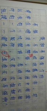 关于最温暖作文开头结尾
