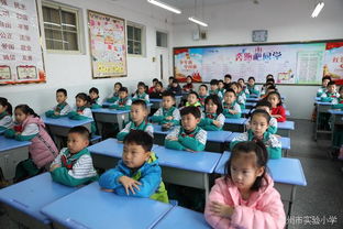 我校开学安全教育(我校开学安全教育)