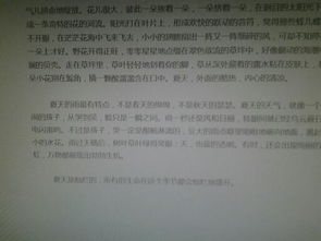 开头描写景的作文600字作文