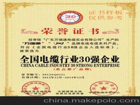 关于资质到期未年审的情况说明(未及时进行年审的情况说明)