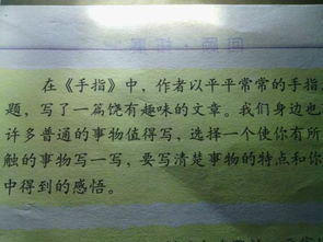 发现身边的作文开头