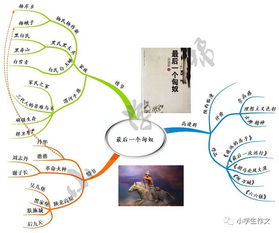 描写外貌描写外貌的作文开头