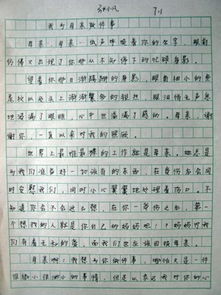 孝心亲情父爱感恩作文开头结尾