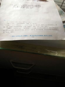 特别的她作文600字开头