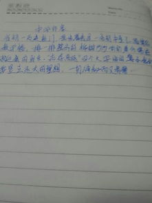 学校的记忆开头的作文