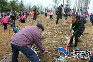 小学生植树活动社会实践报告(小学生植树的活动方案)