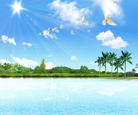 写夏日景色作文开头