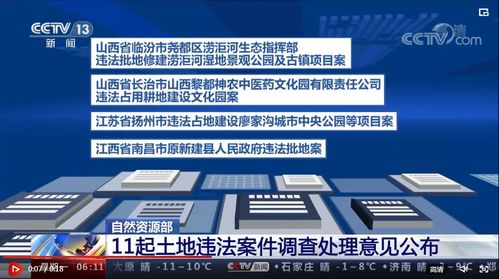 土地违法案件调查报告(康泰乐除疣搽剂违法案件调查报告)