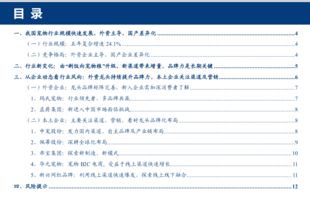 宠物食品市场调研报告(食品市场调研报告例文)