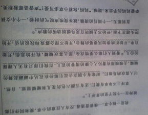 其实我懂你小草作文800字作文开头