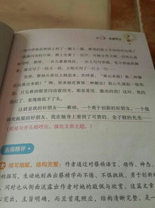我的同桌作文外貌开头