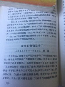 我全学会了1000字作文开头