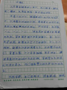 学校开运动会描写团结的作文开头结尾