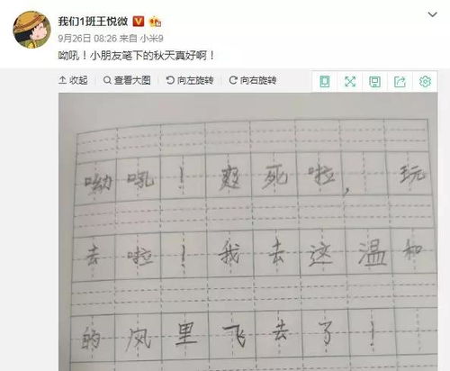 用反义词开头写作文