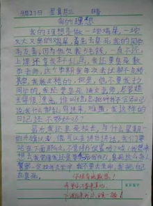 关于梦想小故事的作文开头怎么写